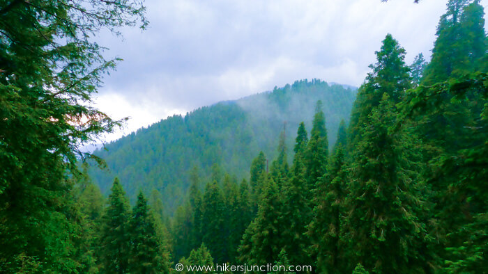 Views from the Dagri forest trail