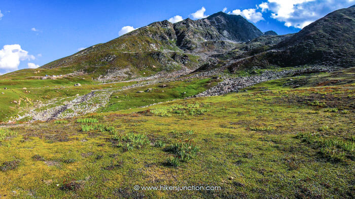 Galma meadow