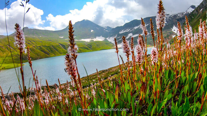 Dudipatsar Lake Trek