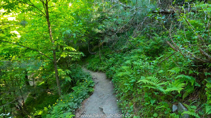 Trail towards waterfall